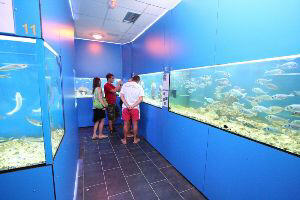 Aquarium Baska Insel Krk Kroatien Aquarium Baska Insel Krk Kroatien